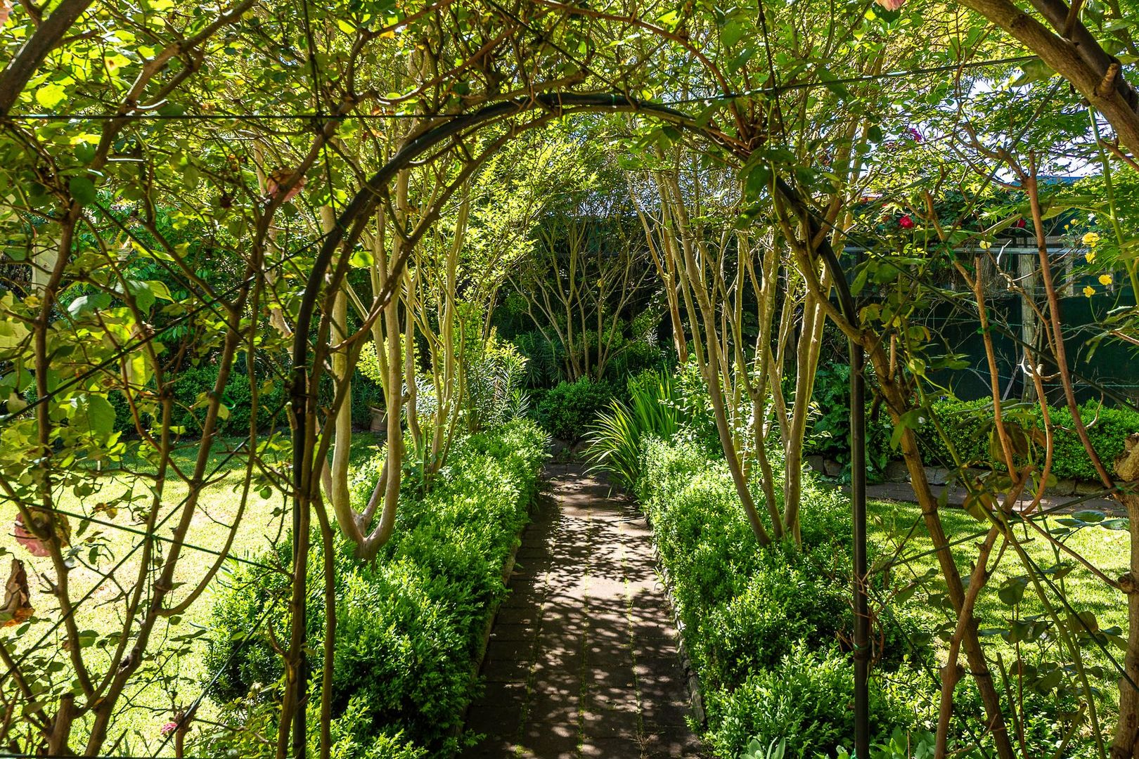 10 Hagen Street, Echung Property History & Address Research Domain