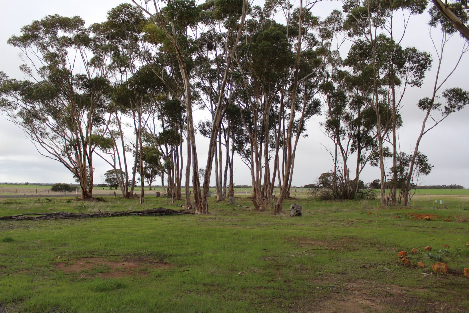 Allotment 53A Yearinga Road, Lillimur VIC 3420, Image 2