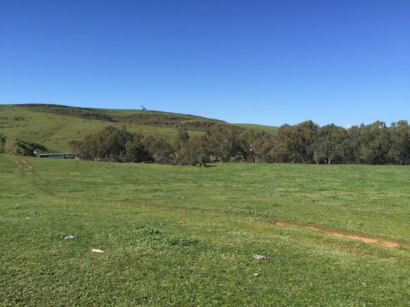 Eclair Mine Road, St Ives SA 5252, Image 1