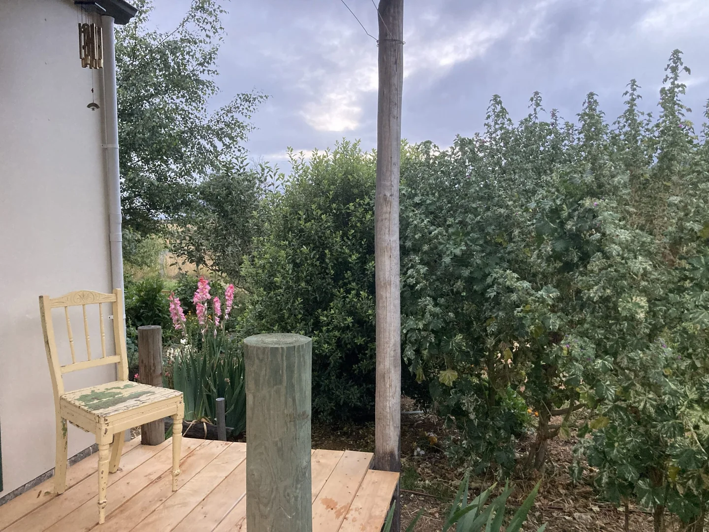Image 20