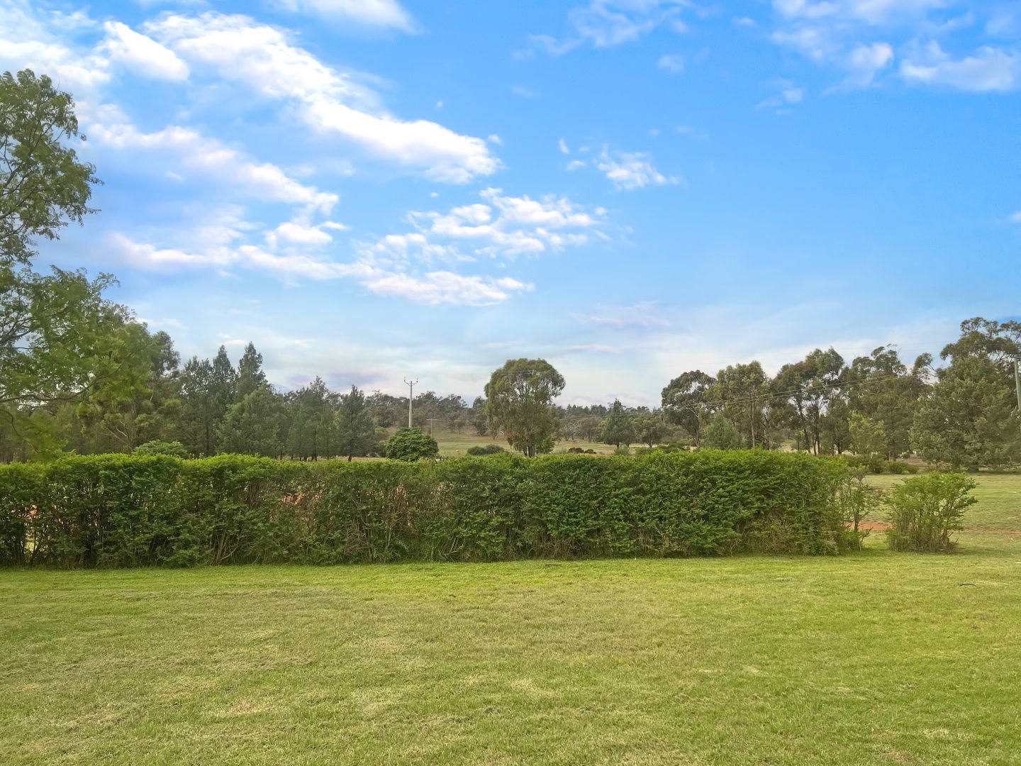 331 Bygoo Road, Ardlethan NSW 2665 House for Sale Domain