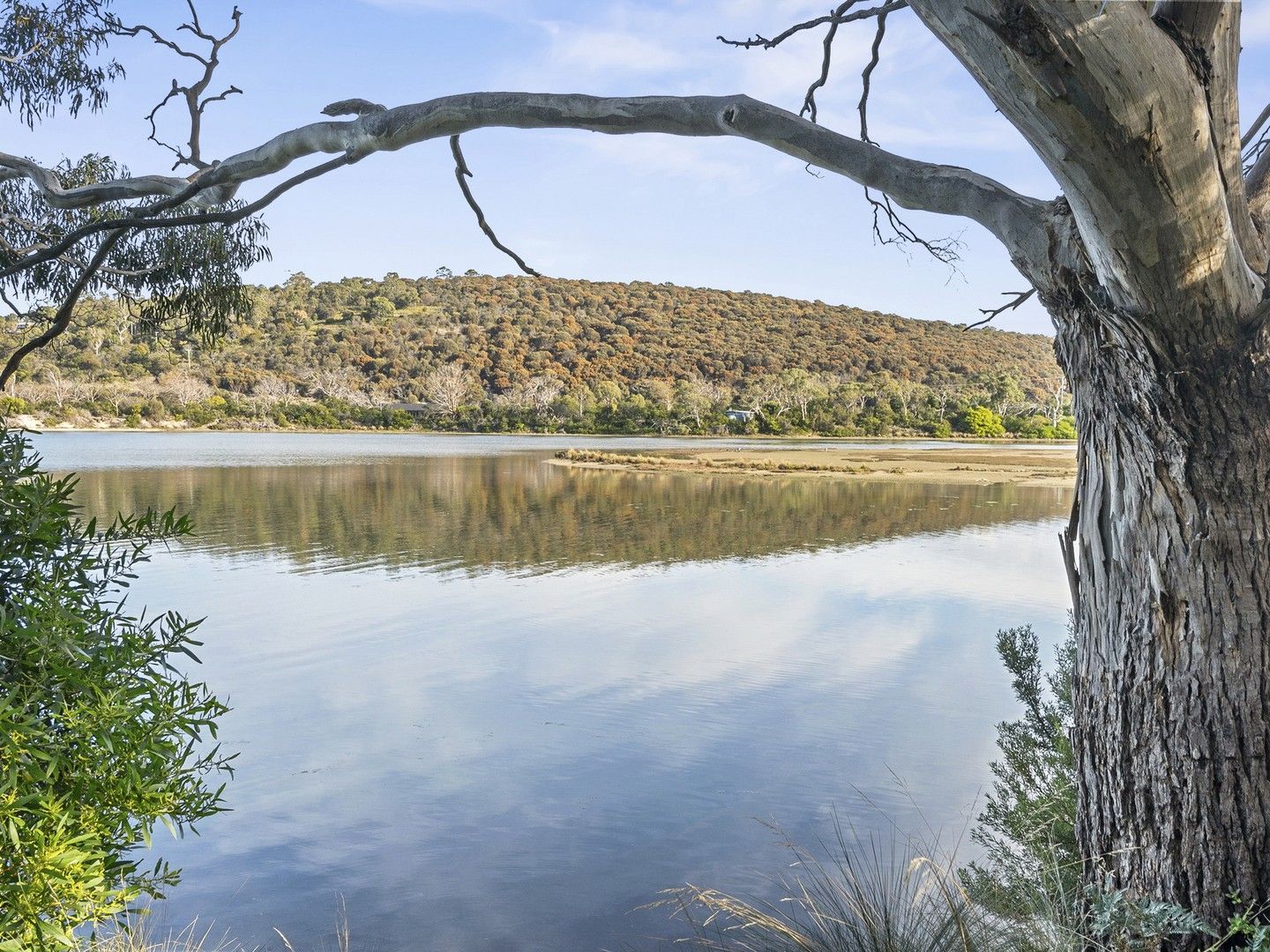 8 Erle West Street, Carlton River TAS 7173 Domain