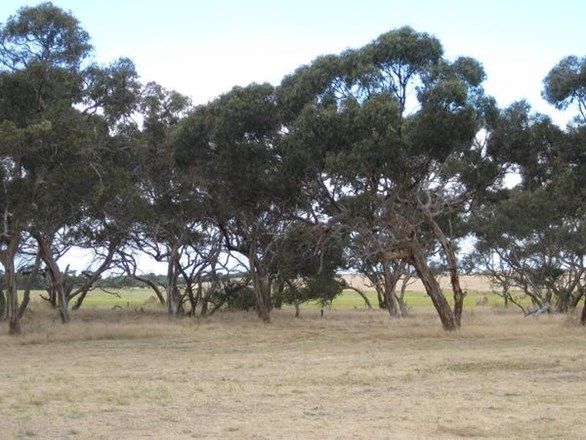 Lot 6 Depledge Road, Waitpinga SA 5211, Image 2