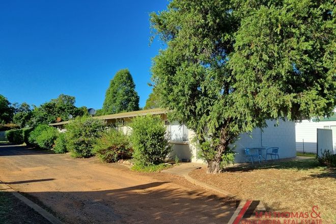 Picture of 1-8/25-27 Myrtle Street, GILGANDRA NSW 2827