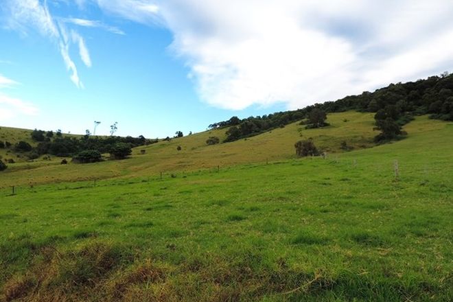 Picture of Lot 4 Toolijooa Road, TOOLIJOOA NSW 2534