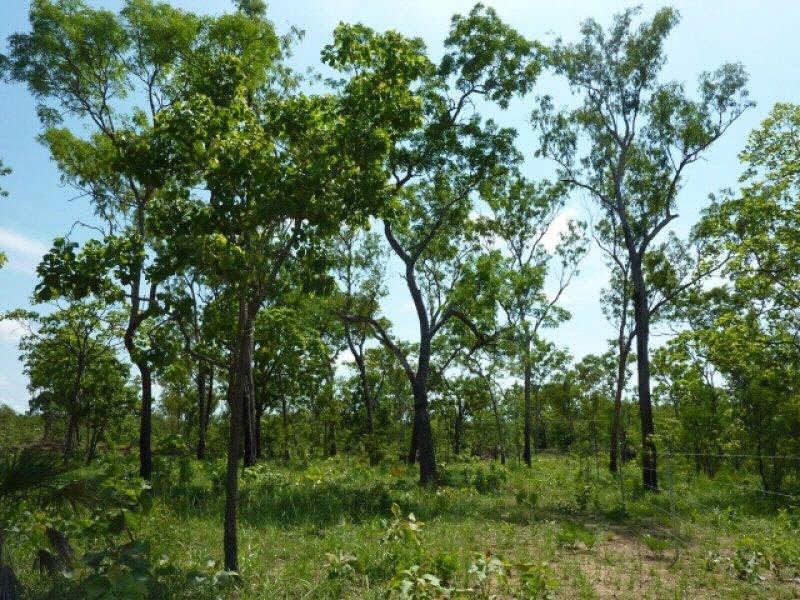 155 Mira Road, Darwin River NT 0841, Image 1