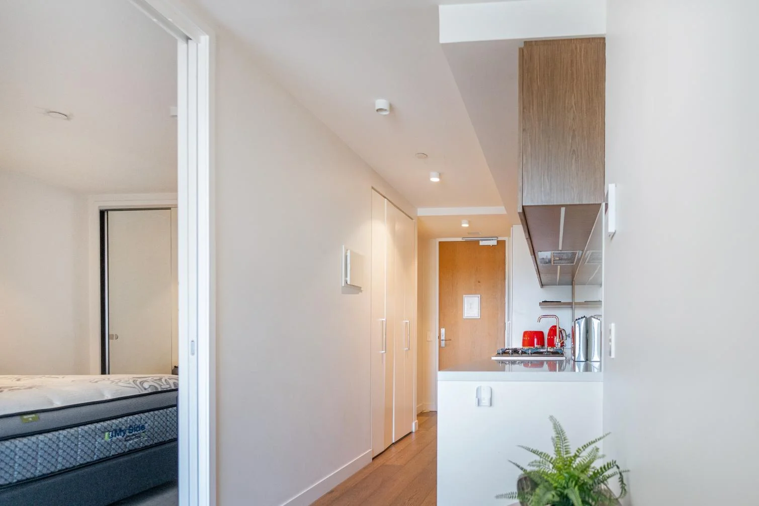 Additional image 30 of South Yarra VIC 3141