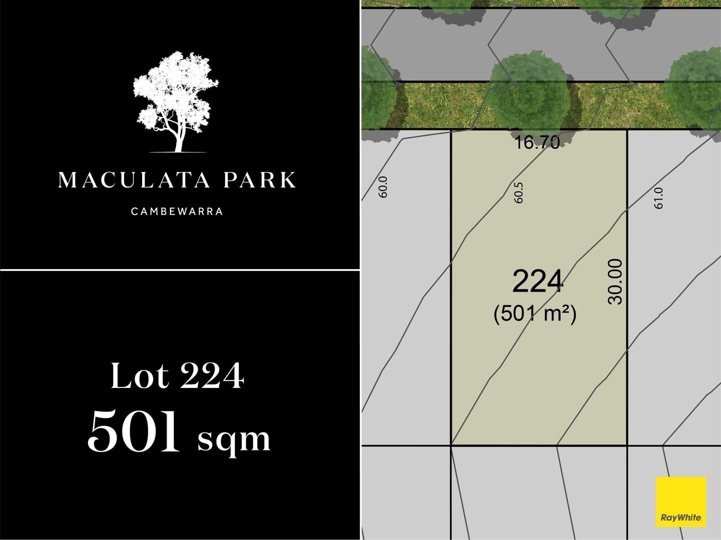 Lot 224, 'Maculata Park' 104 Taylors Lane, Badagarang NSW 2540, Image 0