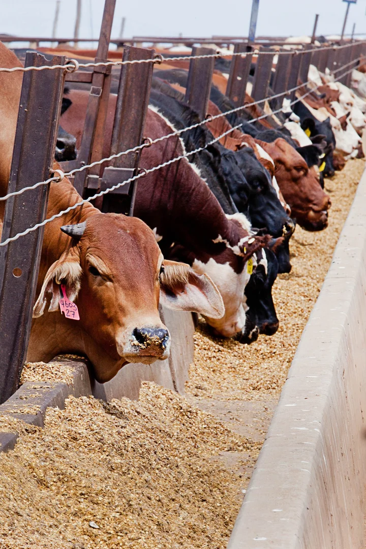 Additional image 11 of Proston QLD 4613