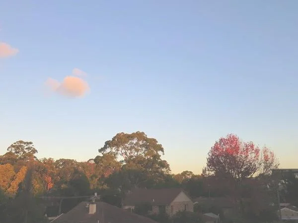 Additional image 6 of C58/35-39 Balmoral Street, Waitara NSW 2077