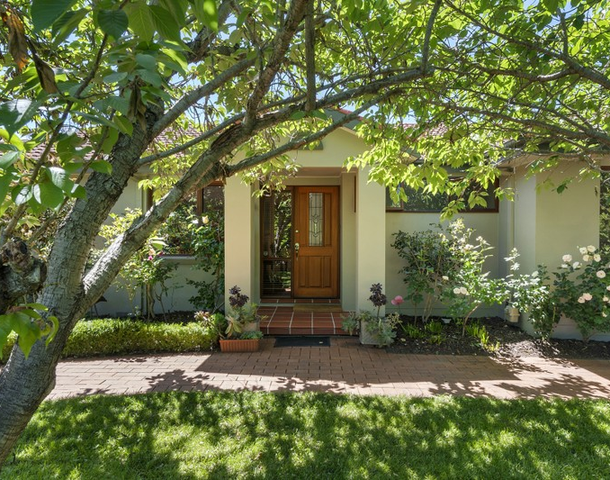 19 Prendergast Street, Curtin ACT 2605