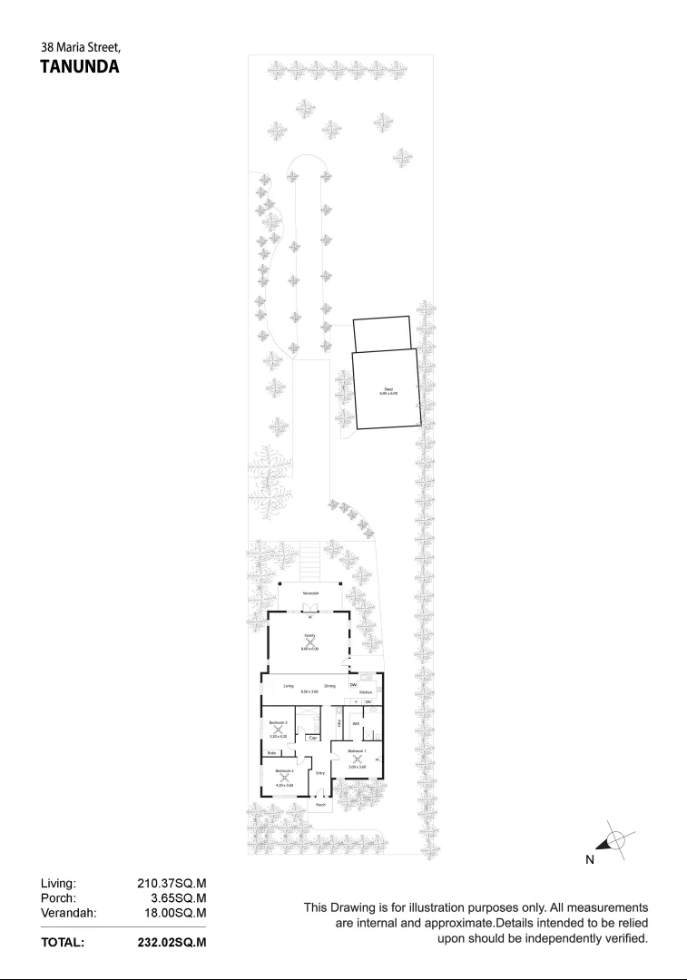 Image 19