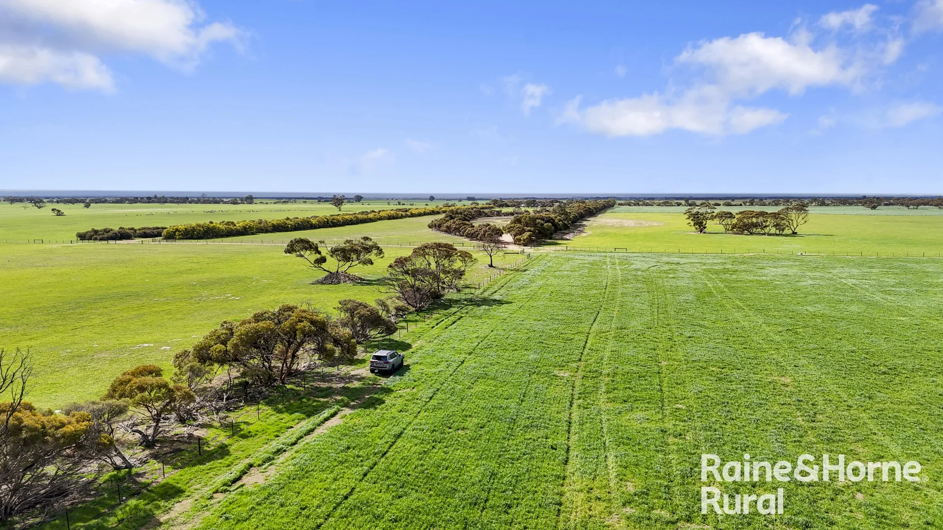 Additional image 20 of 714 Buccleuch South Road, Yumali SA 5261