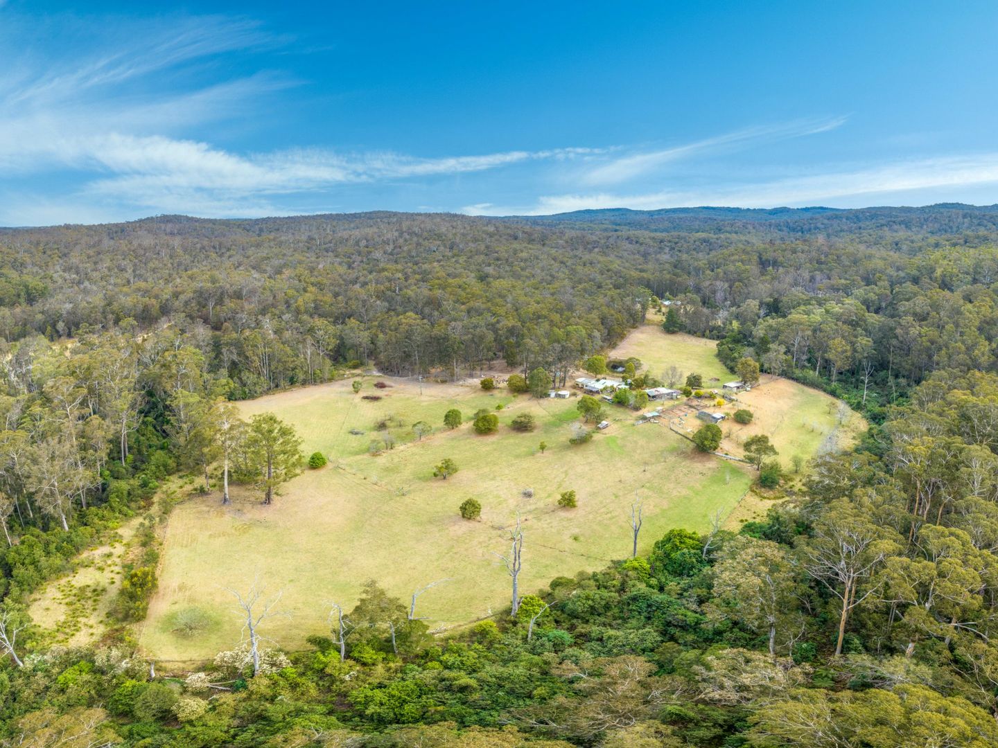 73 Roberts Road, Tanja NSW 2550, Image 2