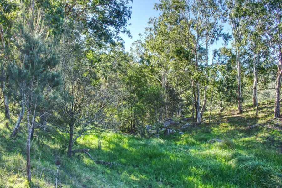 Image 9