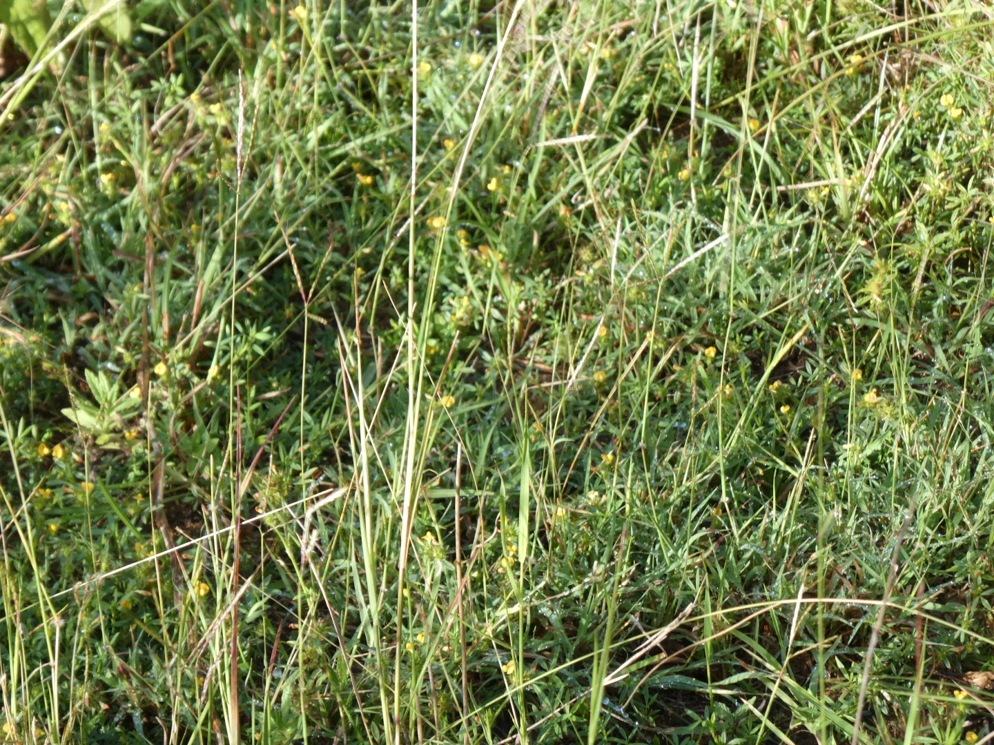 Image 26