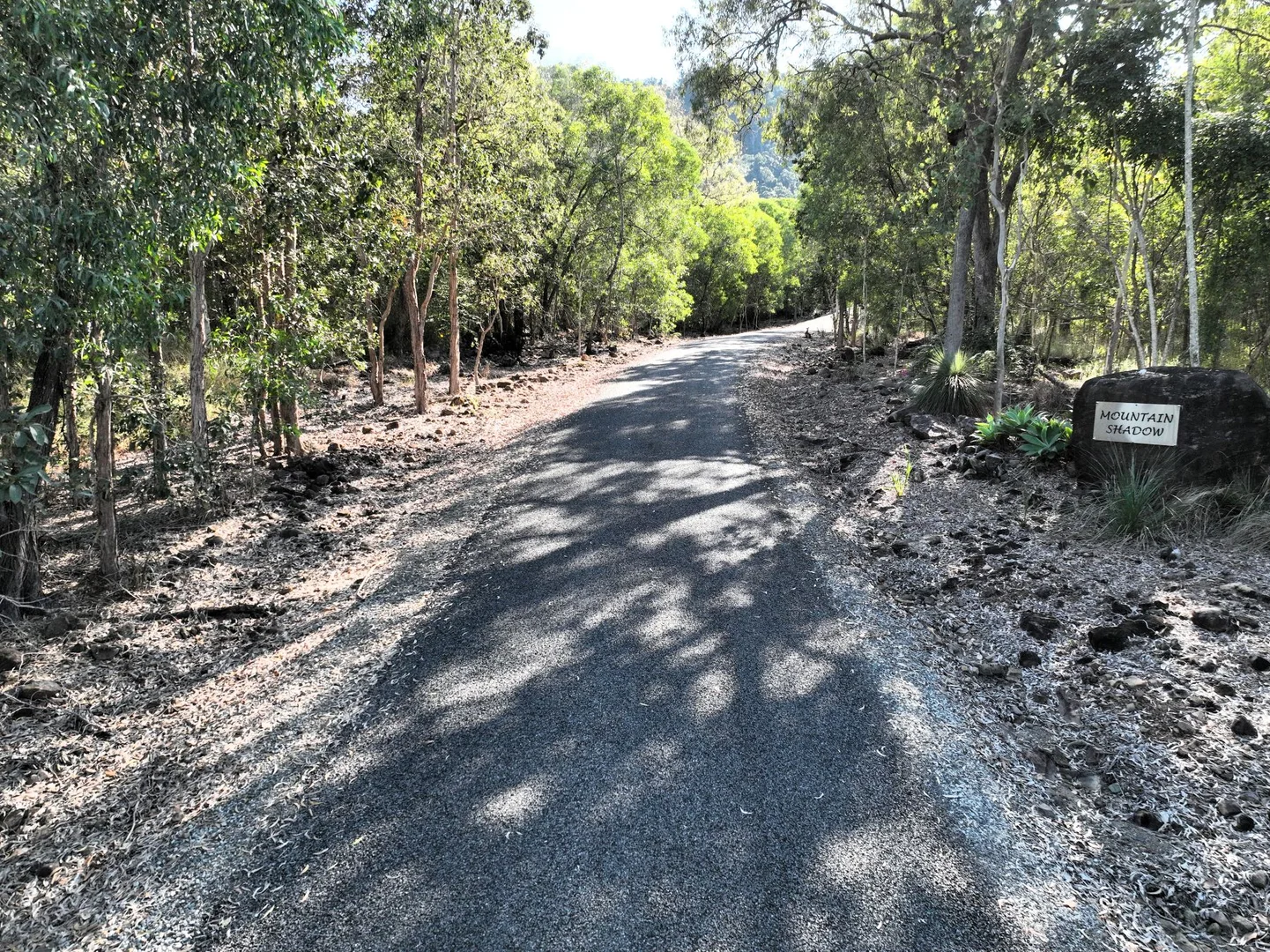 Image 38