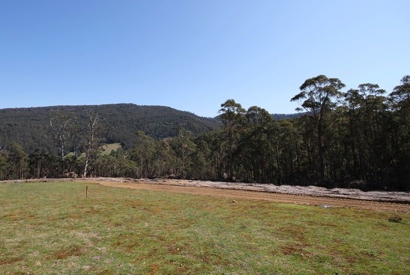 Lot 1, 100 Crosswells Road, Pelverata TAS 7150, Image 2