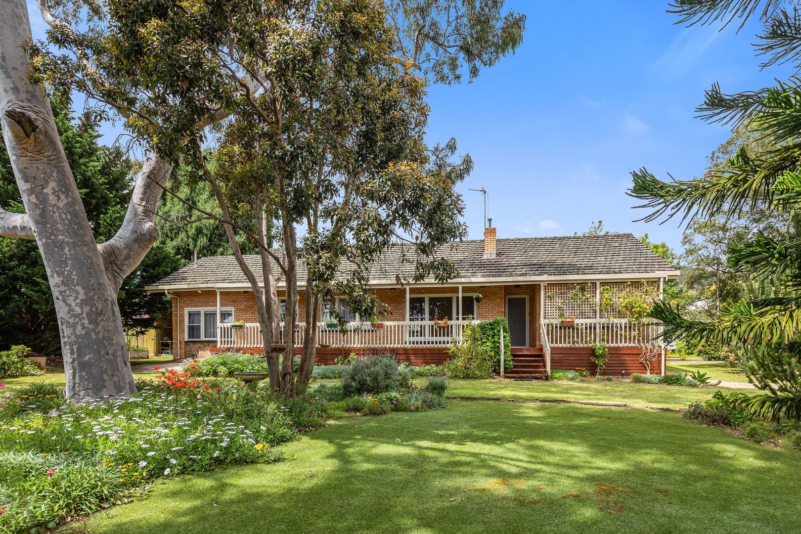 1 Windermere Avenue, Clapham SA 5062, Image 0