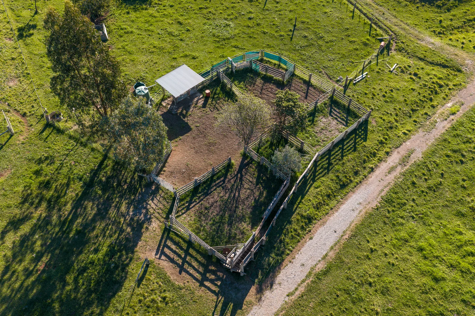 Image 20