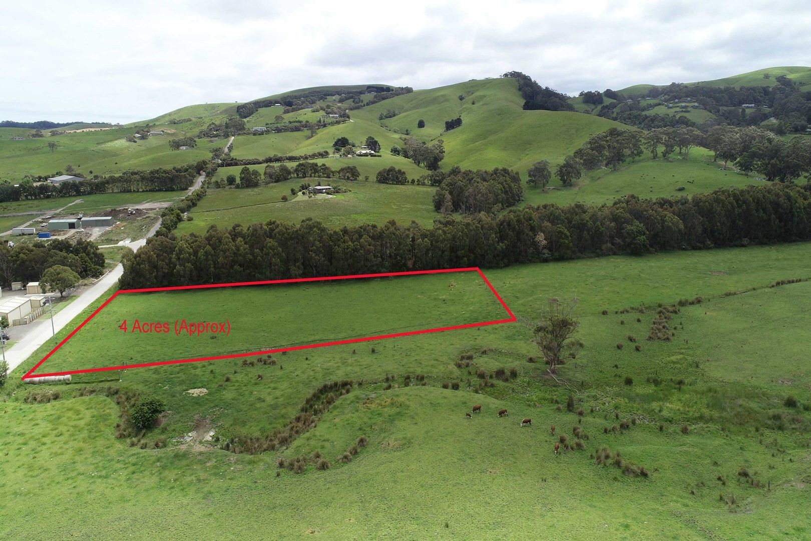 92 Montrose Avenue, Apollo Bay VIC 3233, Image 0