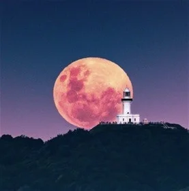 Additional image 15 of 34 Alcorn Street, Suffolk Park NSW 2481