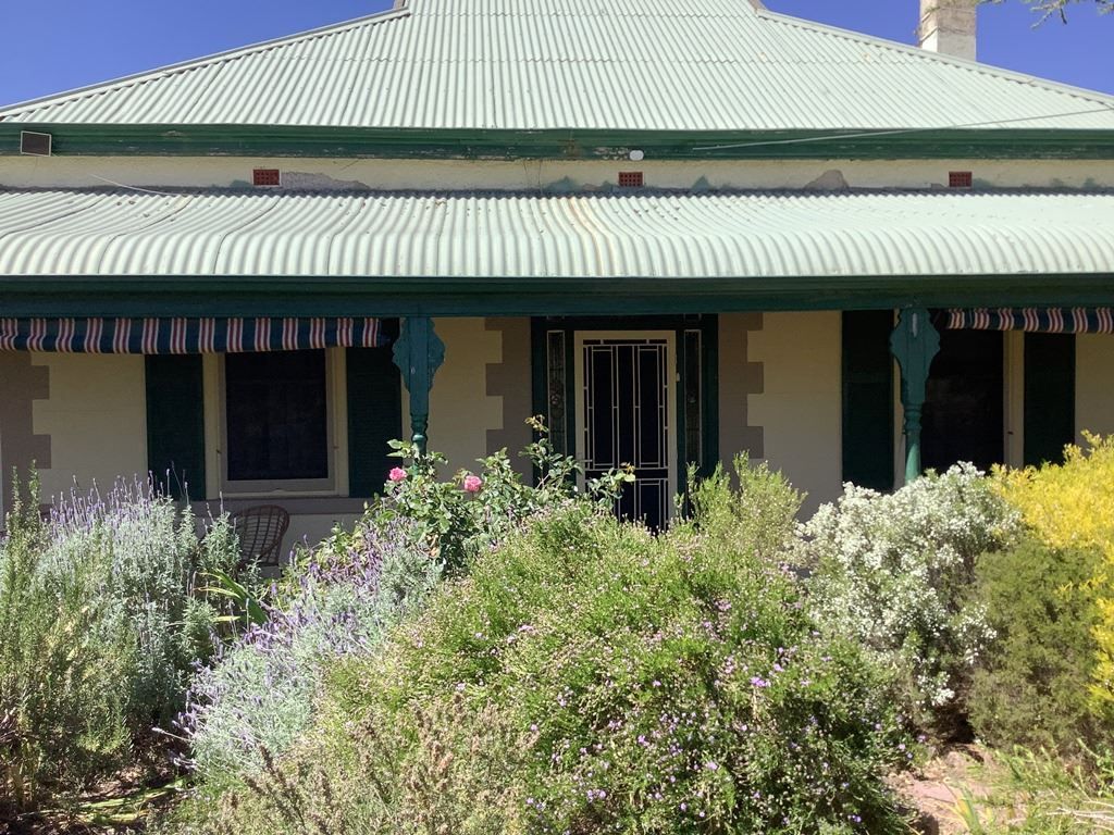26 Beauval Street, Wilmington SA 5485 Domain