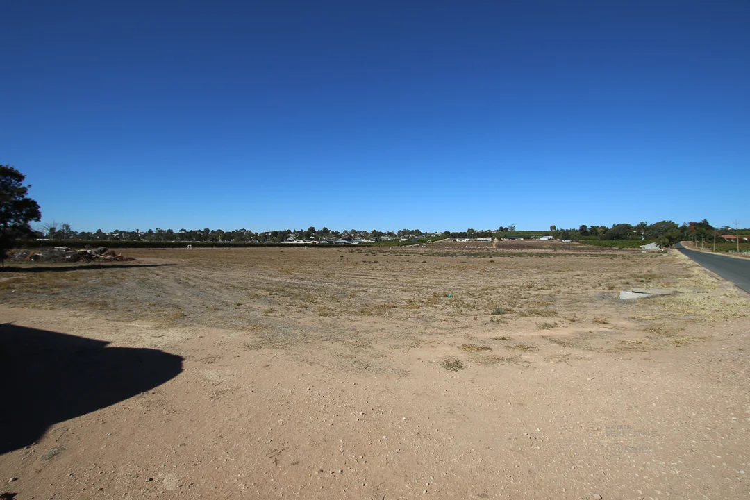 Image 13