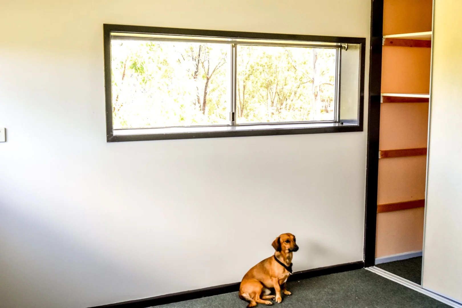 Additional image 31 of Maidenwell QLD 4615