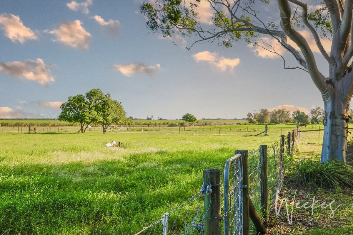 Additional image 34 of 42 Kleins Road, Woongarra QLD 4670