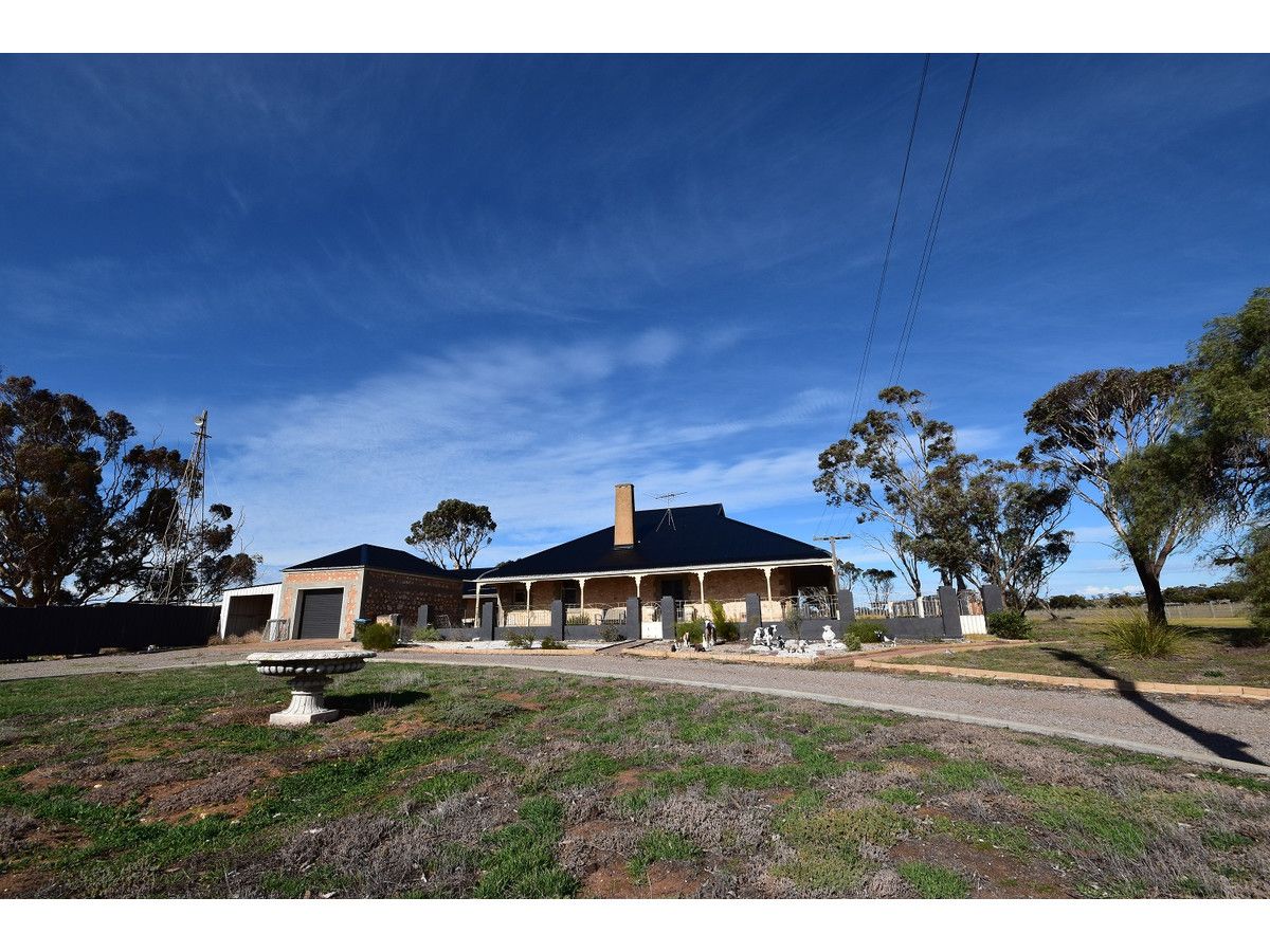 534 Reedy Creek Road, Murray Bridge SA 5253, Image 1