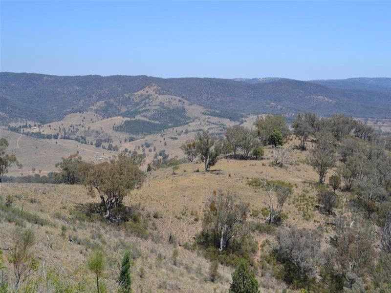 Lot 5 "Cooees Mountain" Yarrabin Road, Yarrabin NSW 2850, Image 1