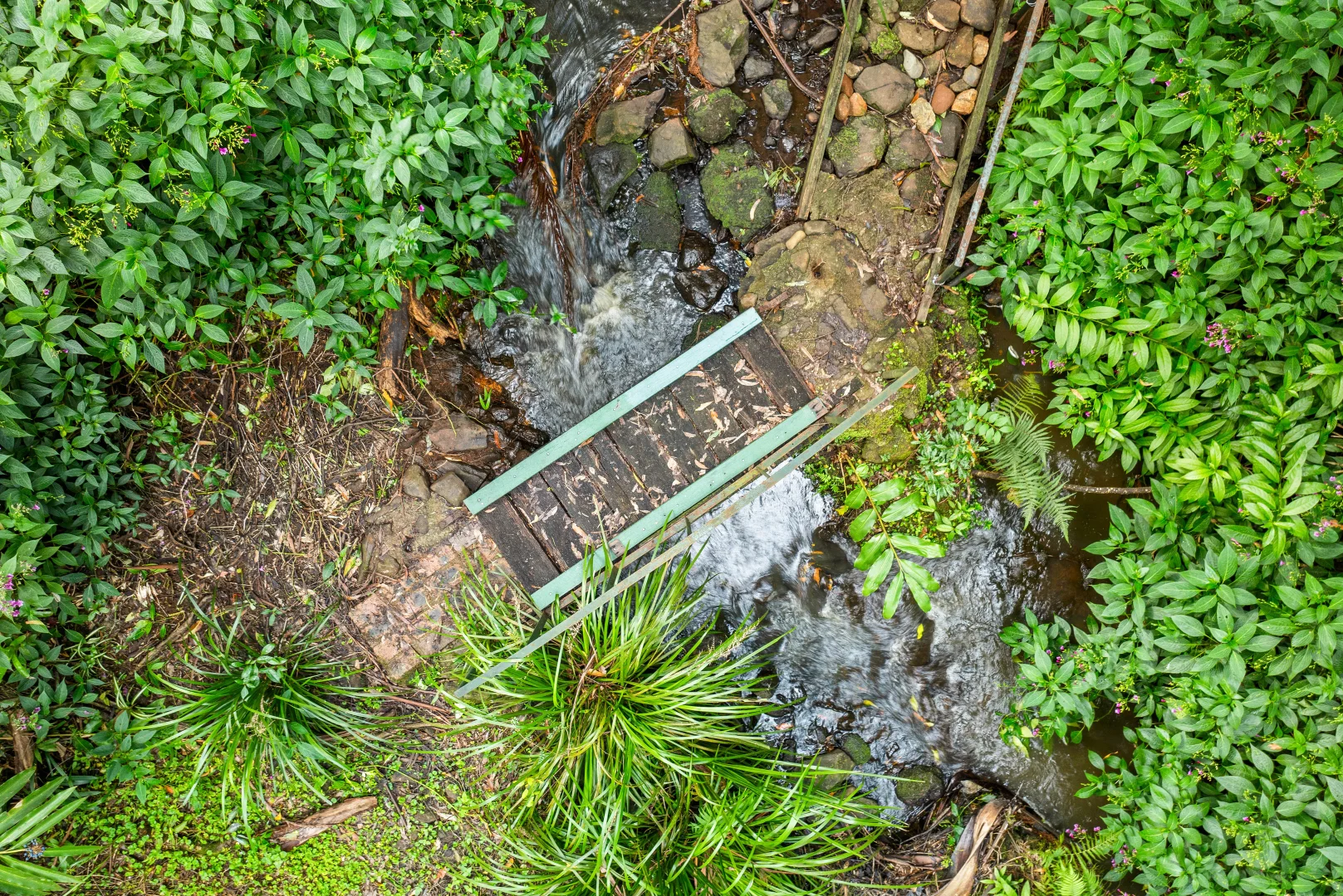 Additional image 31 of 56 Gumland Drive, Witta QLD 4552