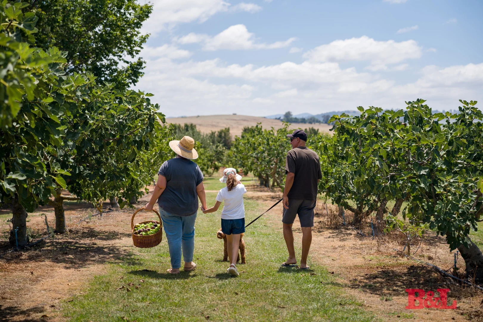 Additional image 26 of 7 Melrose Drive, Raglan NSW 2795