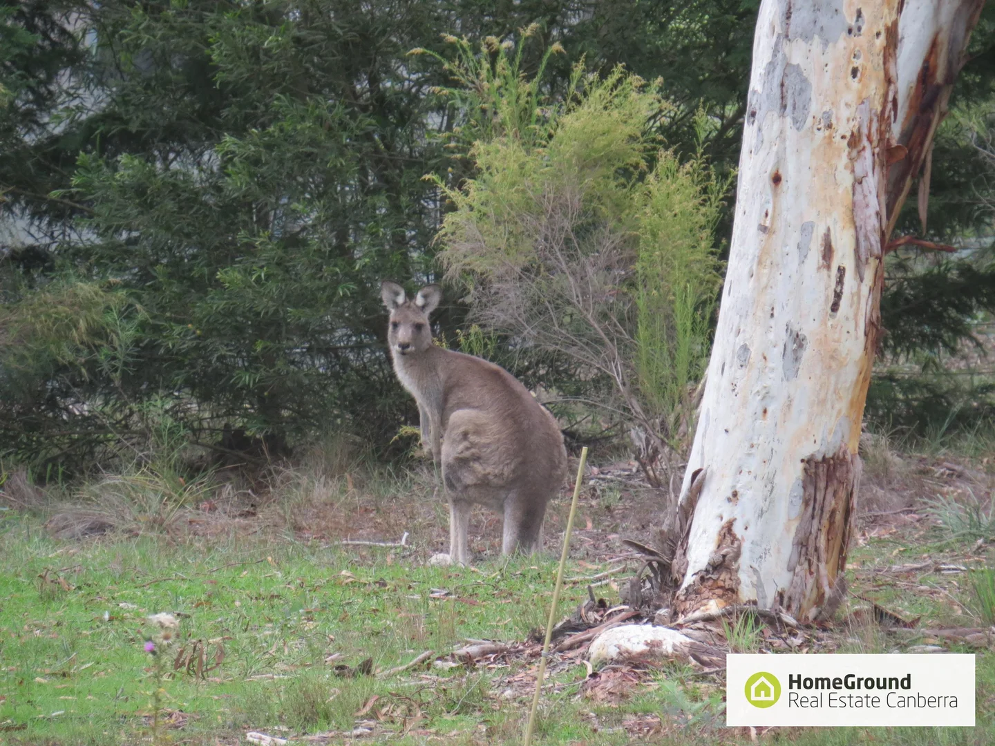 Additional image 11 of 79 Birriwa Road, Bywong NSW 2621