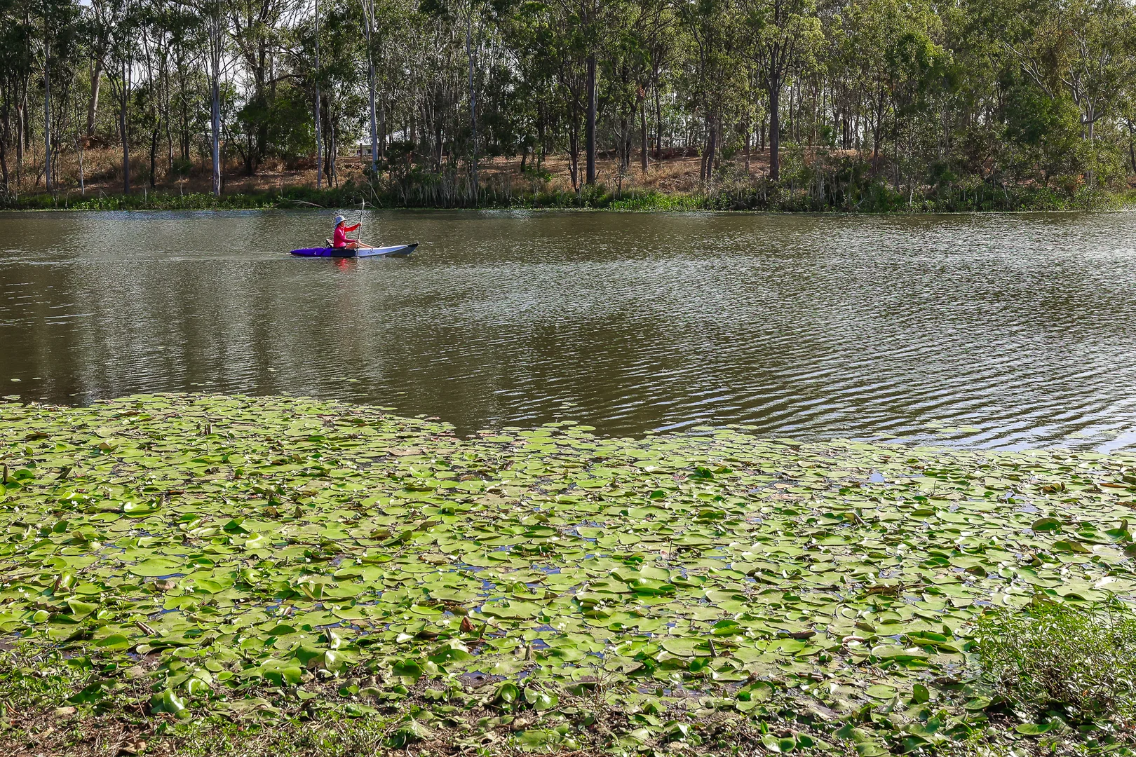 Additional image 32 of 64 Ghost Gum Road, Sharon QLD 4670