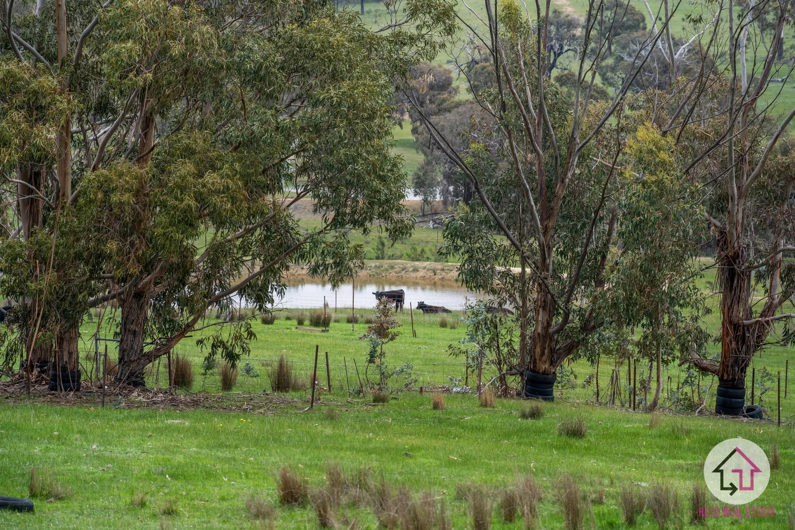 Additional image 12 of 720 The Bridle Track, Glenaroua VIC 3764