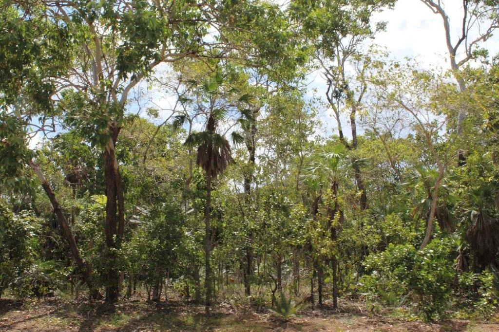 Additional image 7 of 155 Serrata Road, Dundee Downs NT 0840