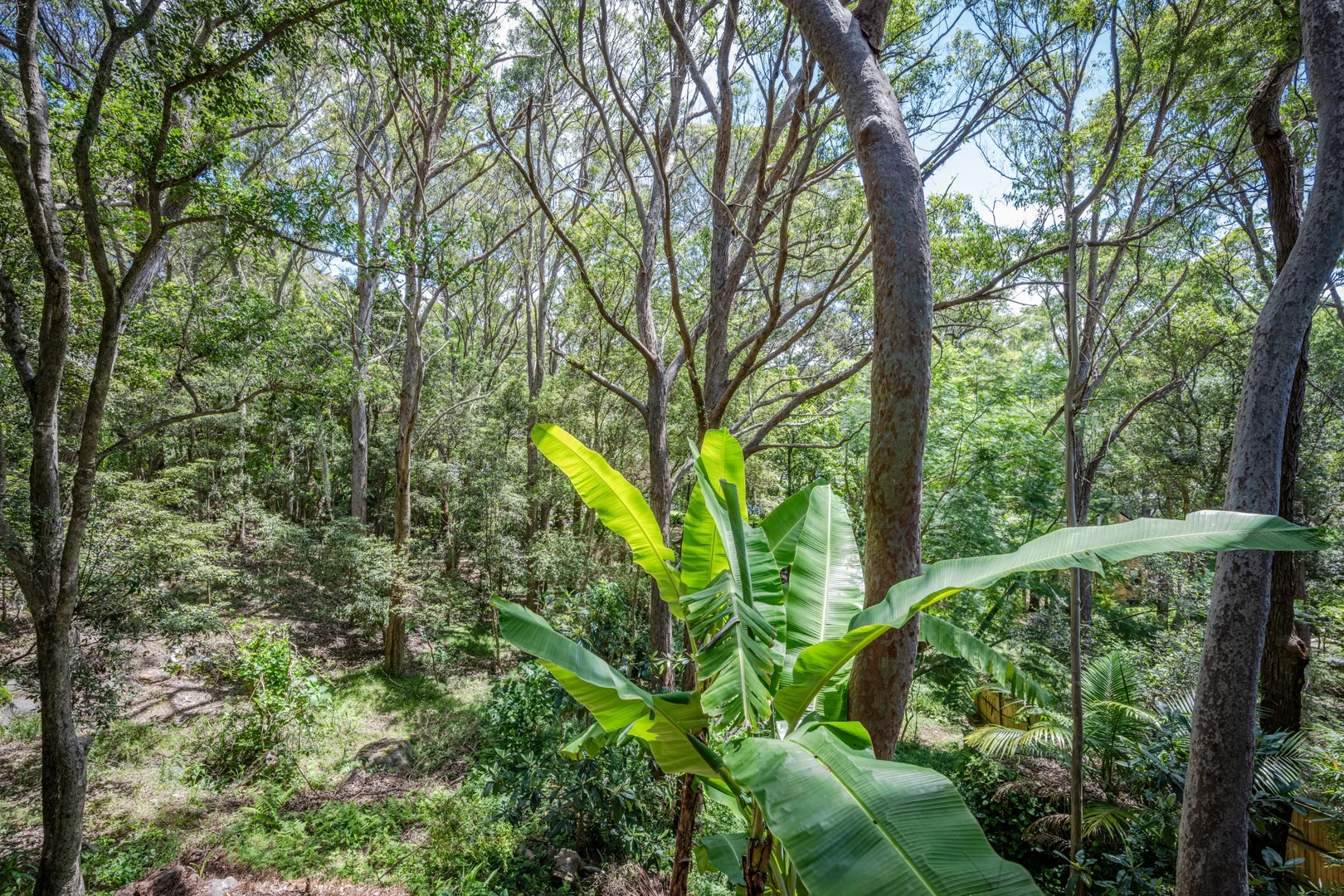 Additional image 23 of 16 Martha Jane Avenue, Killcare NSW 2257