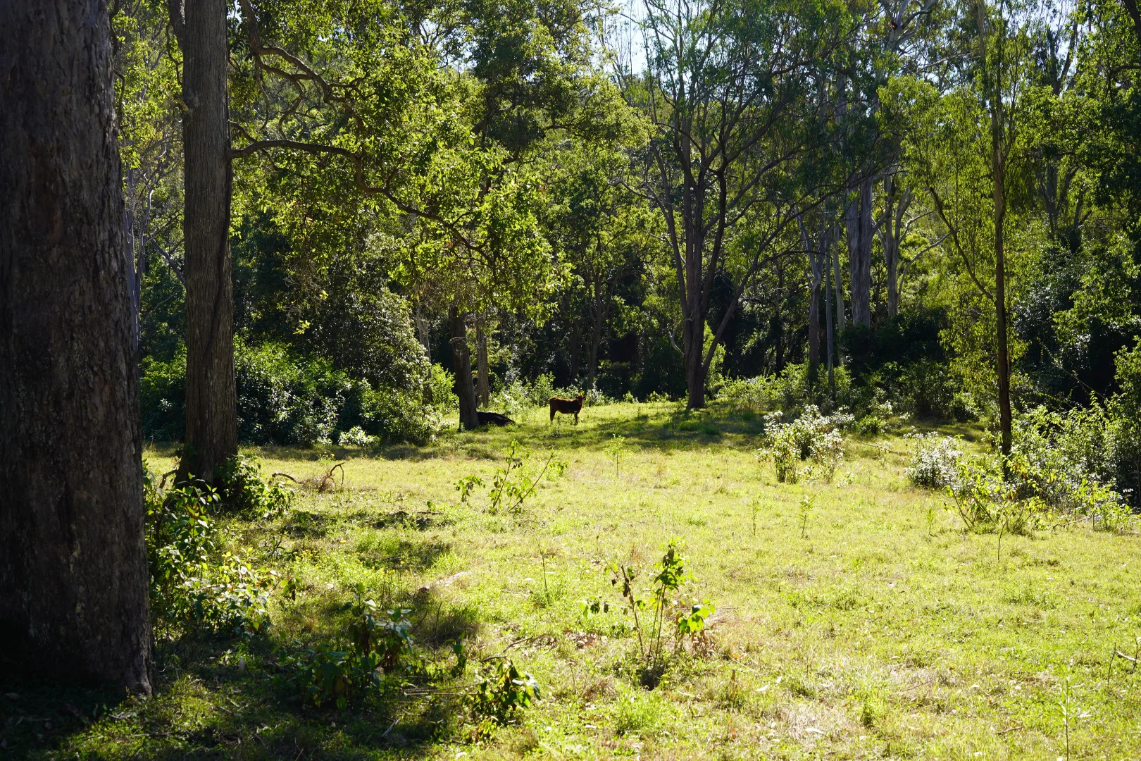 Image 12