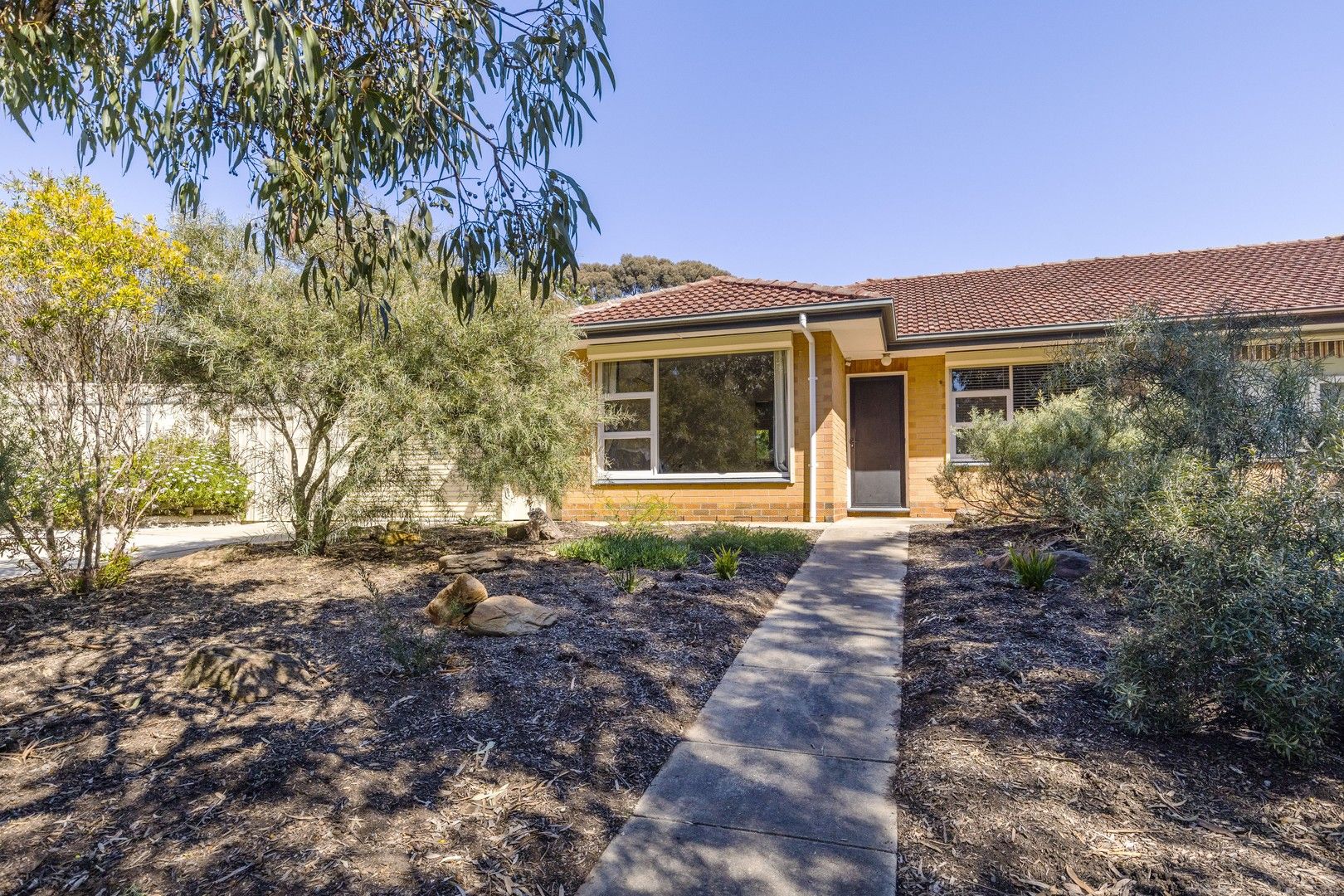 9 Gully Road, Seacliff Park SA 5049 House For Rent Domain