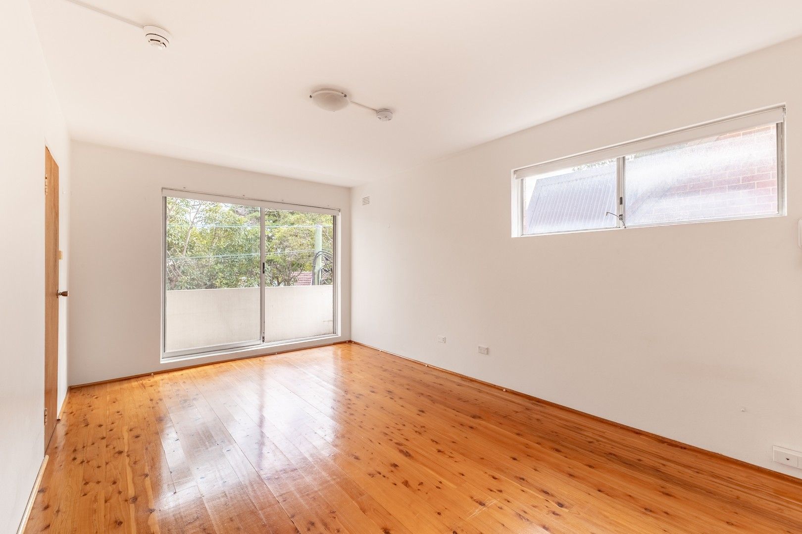 Studio in 3/95-97 Annandale Street, ANNANDALE NSW, 2038