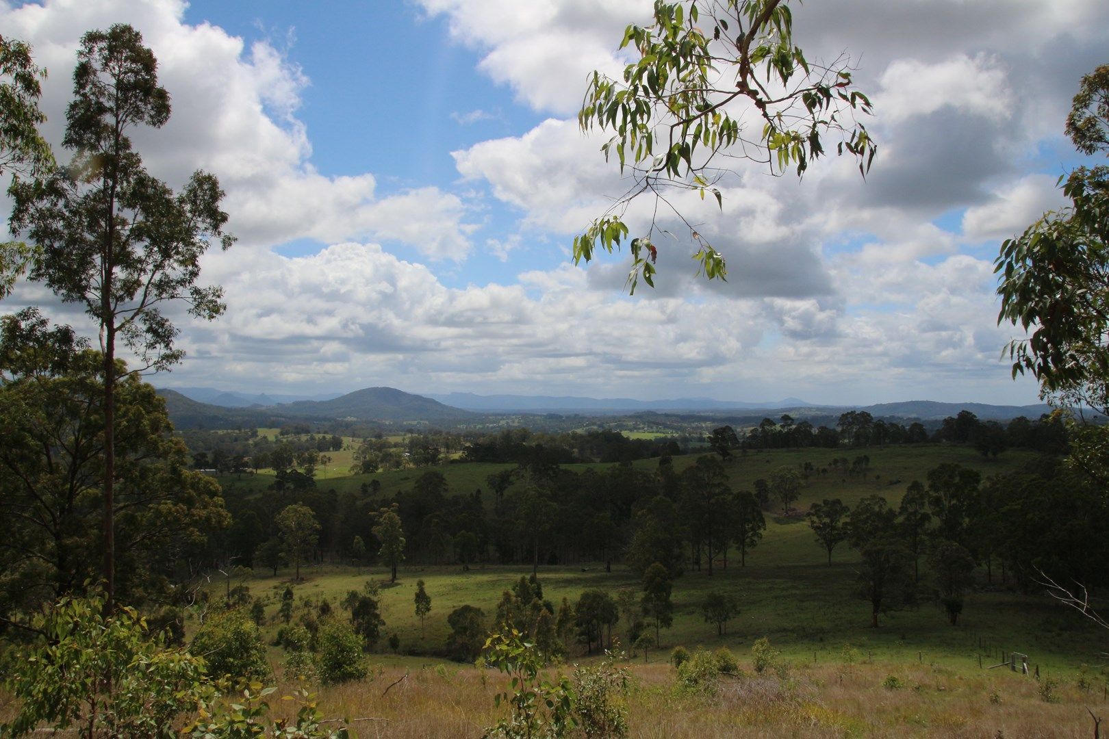 Dollys Flat NSW 2429, Image 0