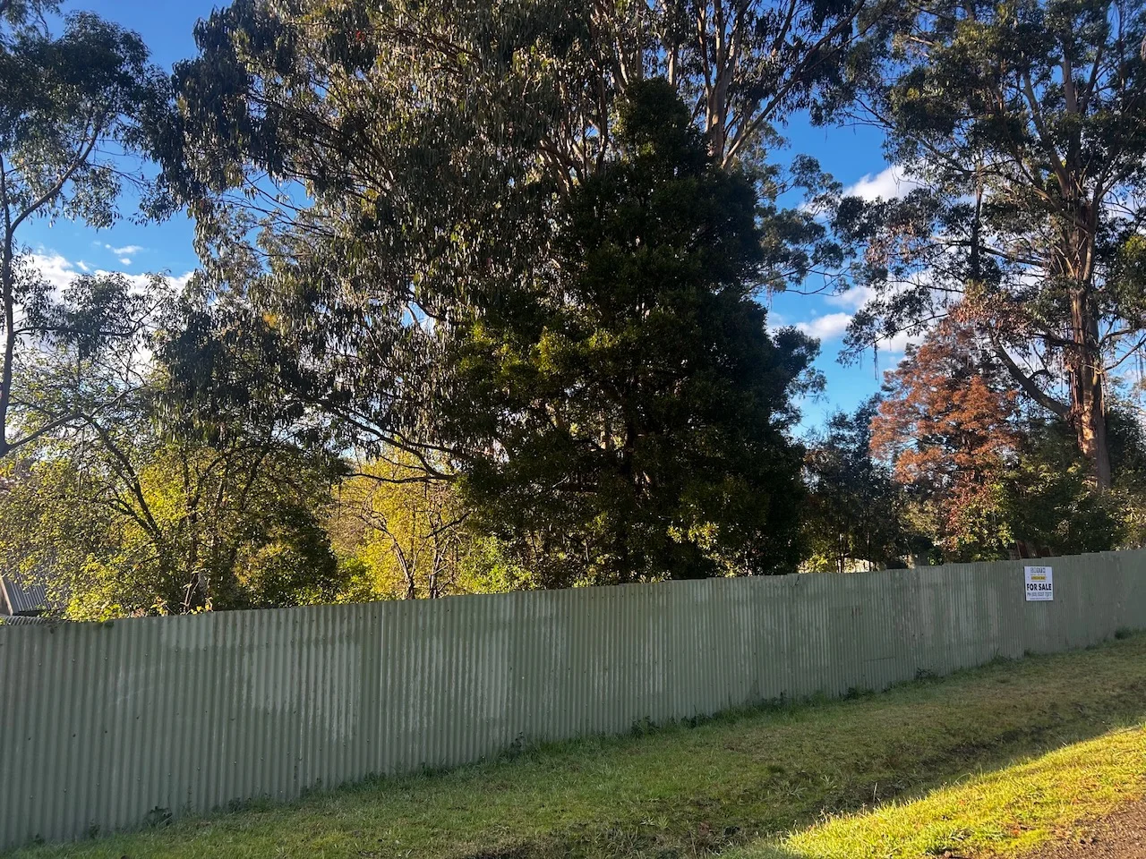 Image 13