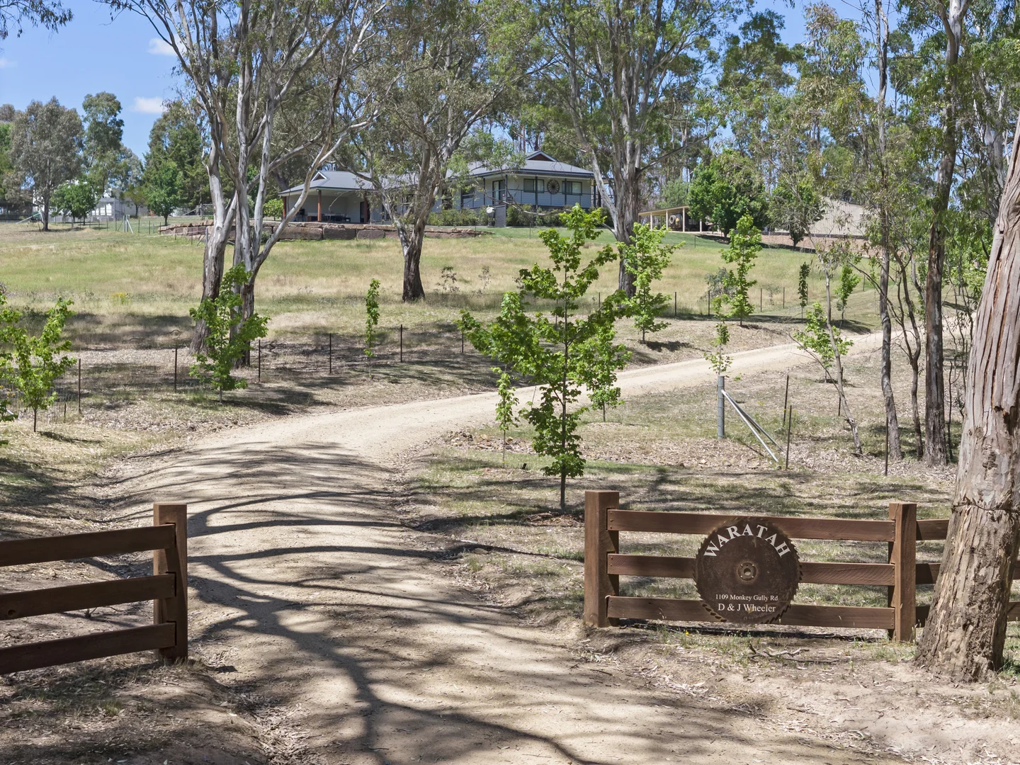 Image 16