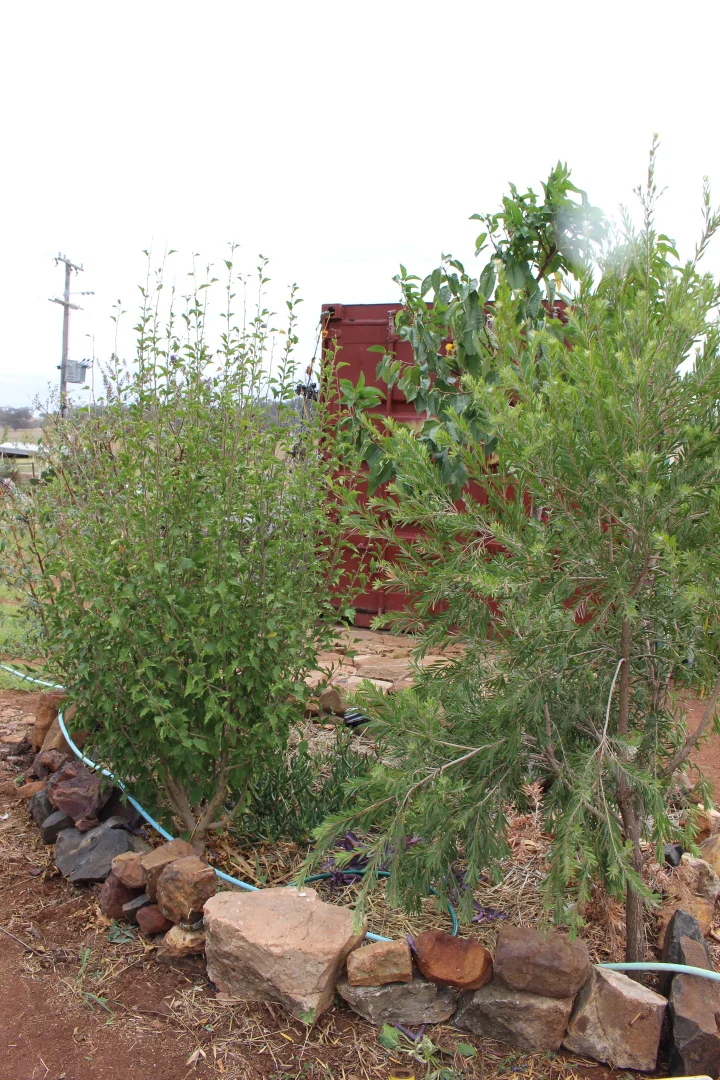 Additional image 33 of 2 Biamble Street, Merrygoen NSW 2831