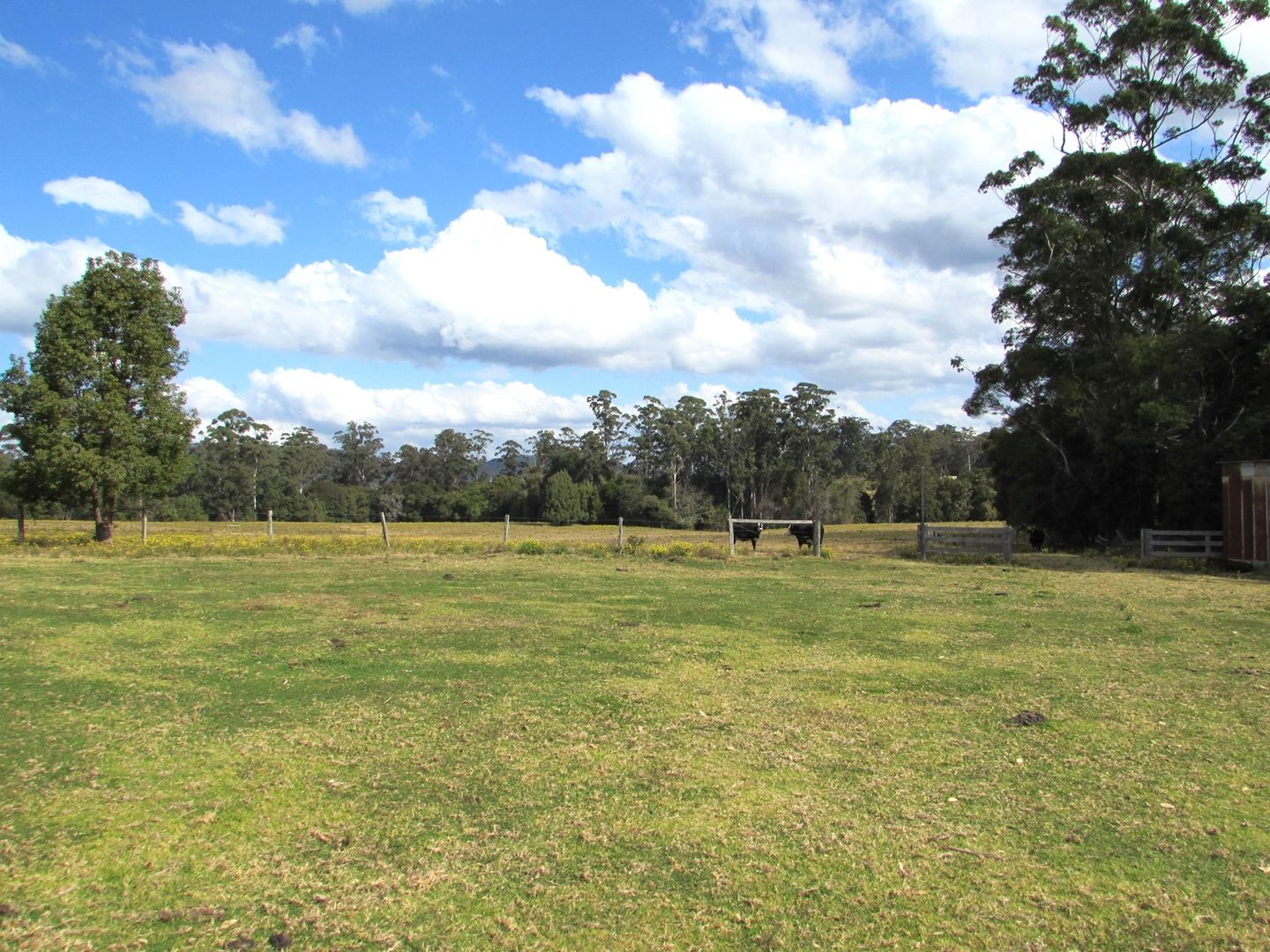 Tora Road, Rollands Plains NSW 2441, Image 1