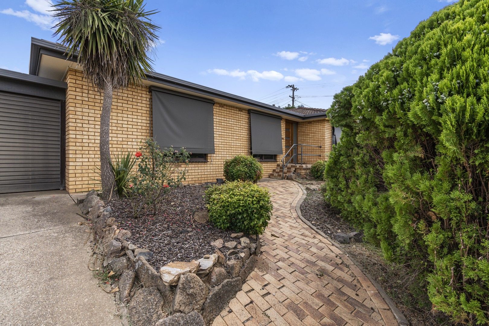 37 Merinda Crescent, Kooringal NSW 2650 House For Rent 430 Domain