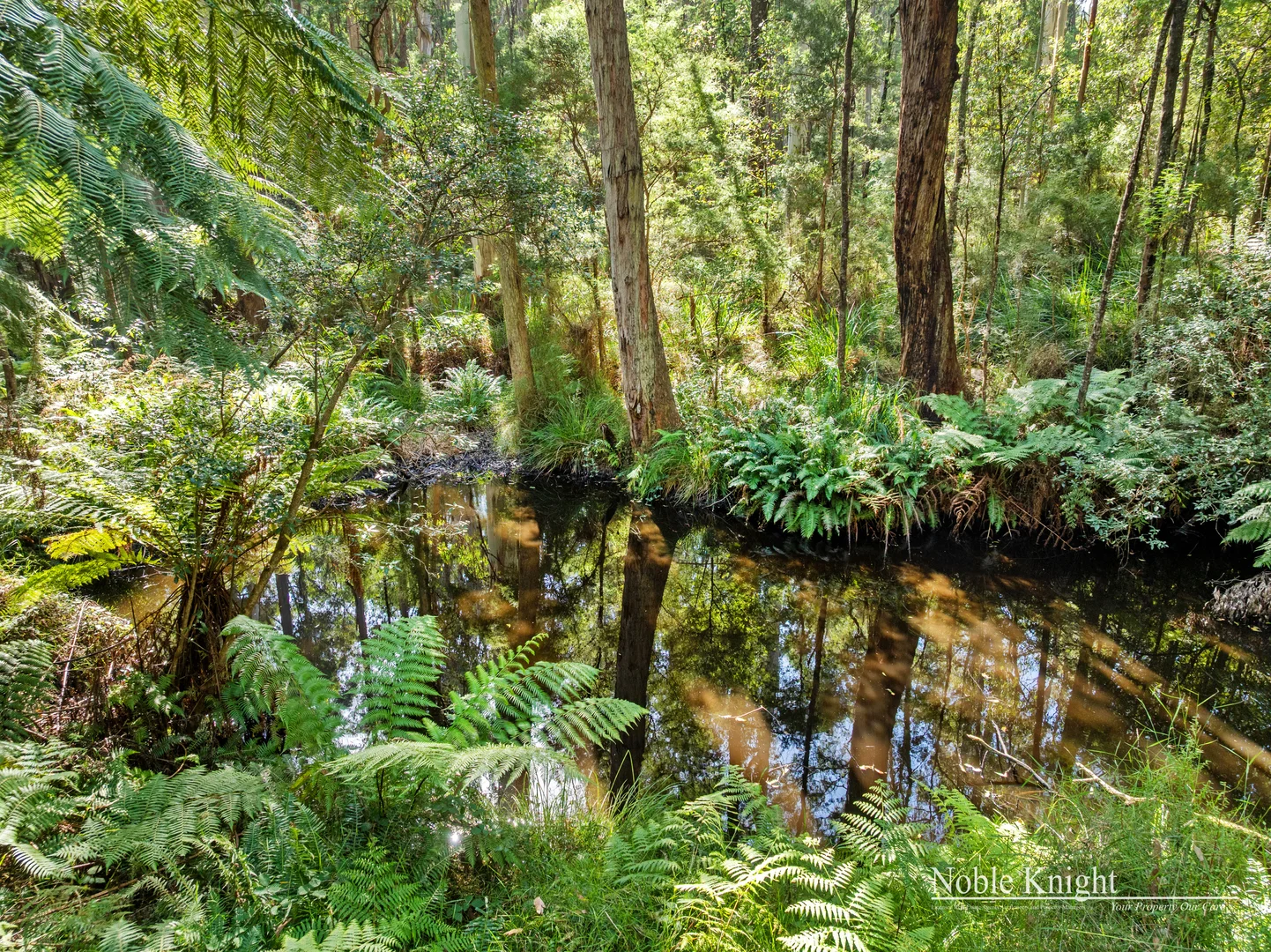 Additional image 20 of 424 Old Warburton Road, Warburton VIC 3799