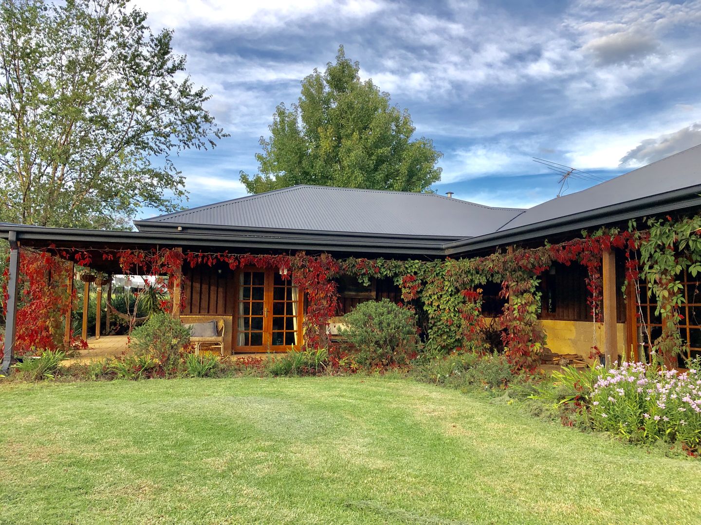 Dorrigo NSW 2453 House for Sale 1,240,000 Domain